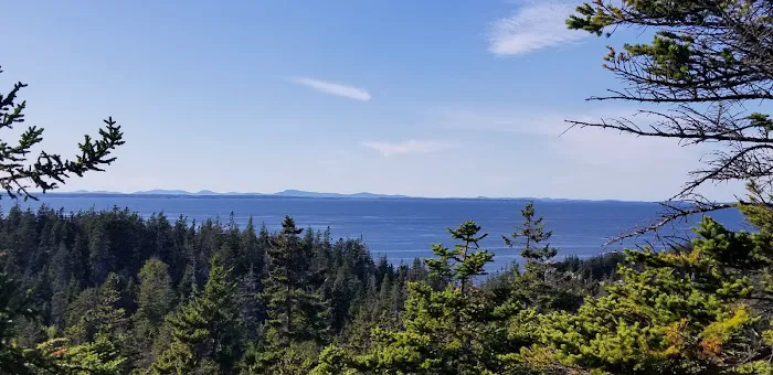 Duck Harbor Campground 0