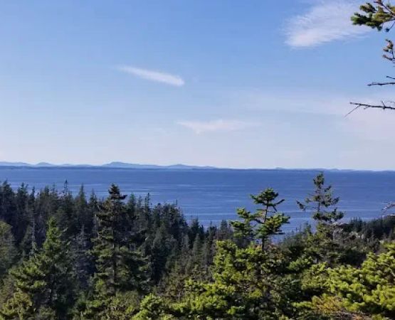 Duck Harbor Campground