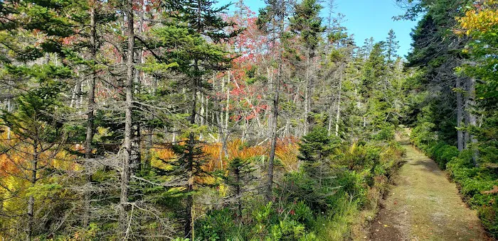 Duck Harbor Campground 3