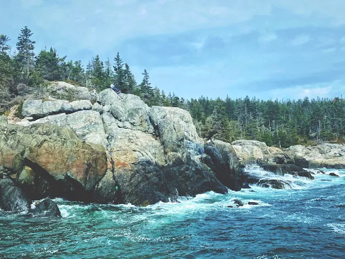 Duck Harbor Campground 2