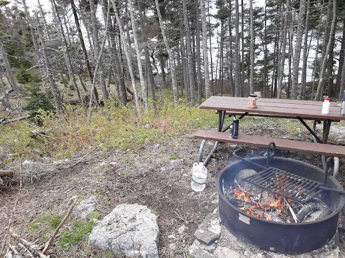 Duck Harbor Campground 4
