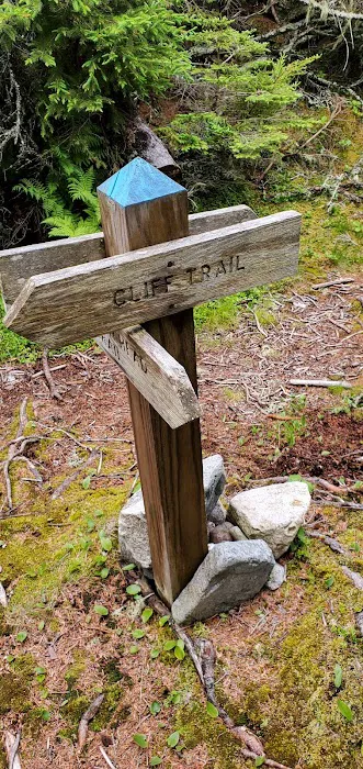 Duck Harbor Campground 7