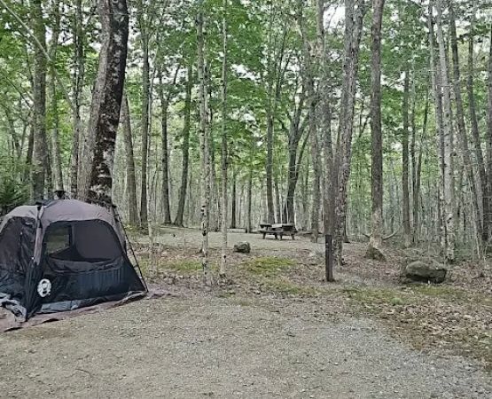 Camden Hills State Park Campground