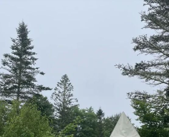 Smithereen Farm Blueberry Land (U-Pick and Camping)