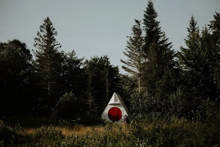 Smithereen Farm Blueberry Land (U-Pick and Camping) 4