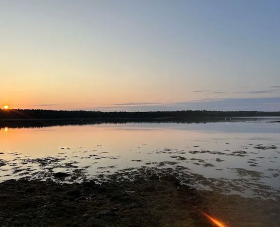Elmer’s Cove Campground
