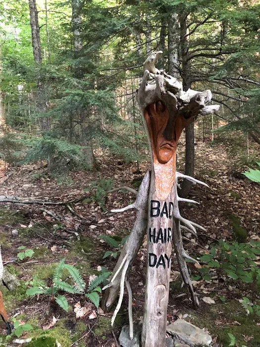 Pleasant Lake Camping Area 2
