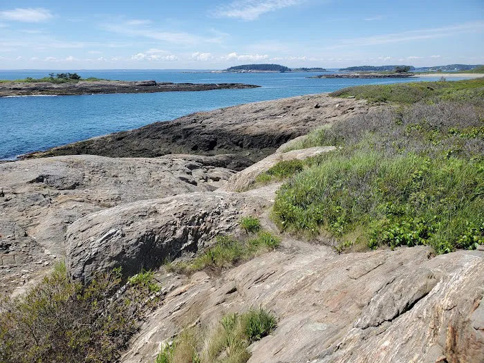Hermit Island Campground 5