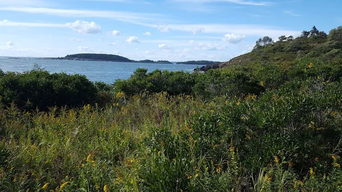 Hermit Island Campground 9