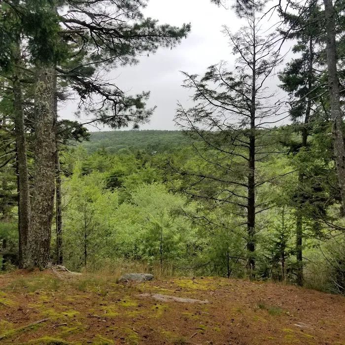 Meadowbrook Camping Area 6