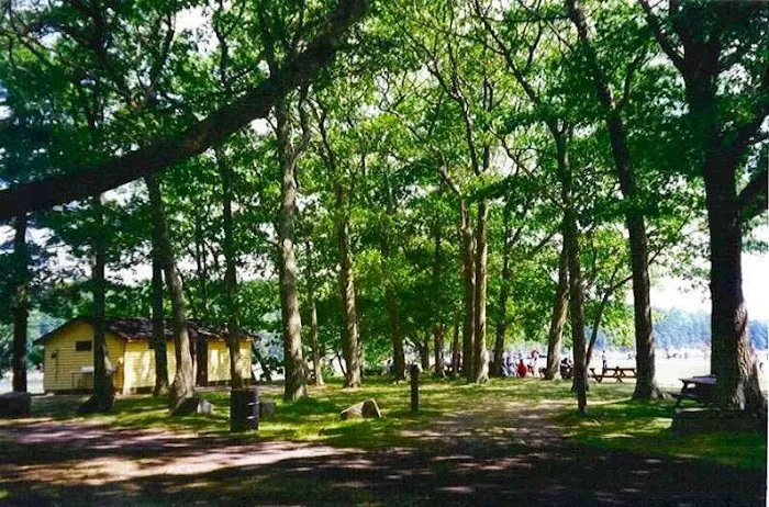 Thomas Point Beach & Campground 4