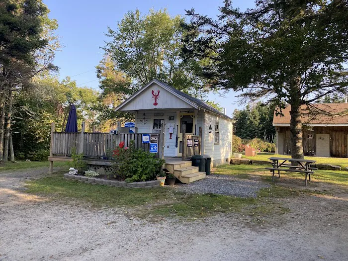 Pemaquid Point Campground 4