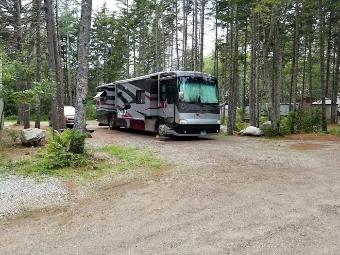 Sherwood Forest Campsite 3
