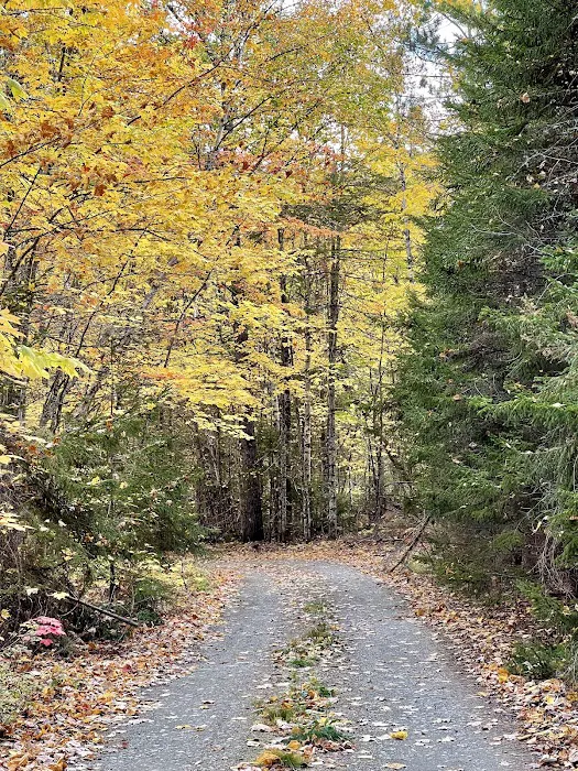 Maine’s Bureau of Parks and Lands Primative Campground 1