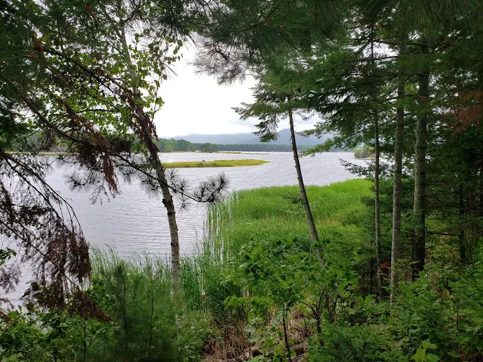 Cathedral Pines Camp Ground 1