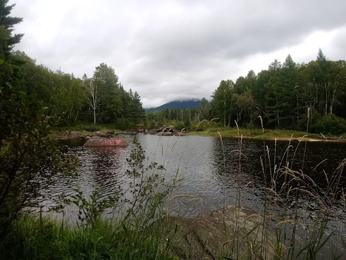 Trout Brook Campsites 0