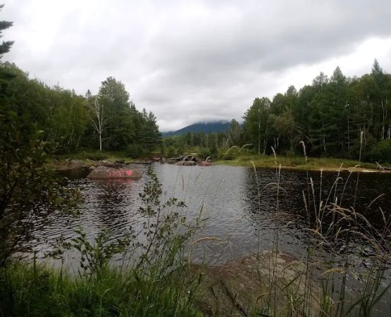 Trout Brook Campsites