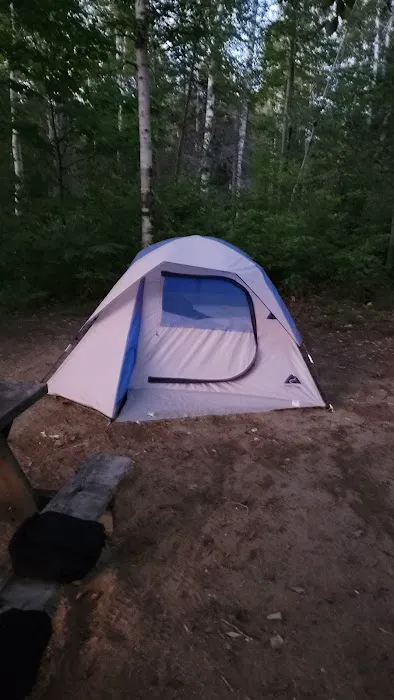 Trout Brook Campsites 8