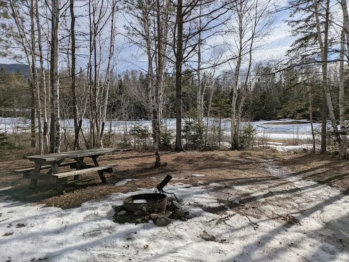 Trout Brook Campsites 7