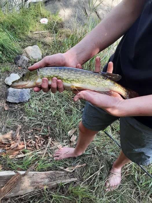 Trout Brook Campsites 9
