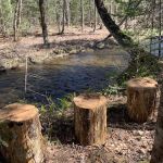 Crystal Brook Camping