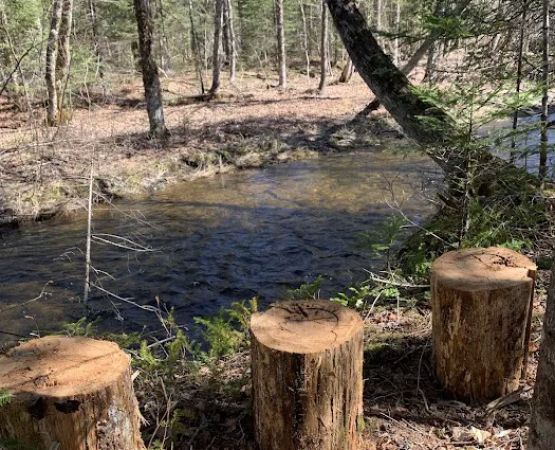 Crystal Brook Camping