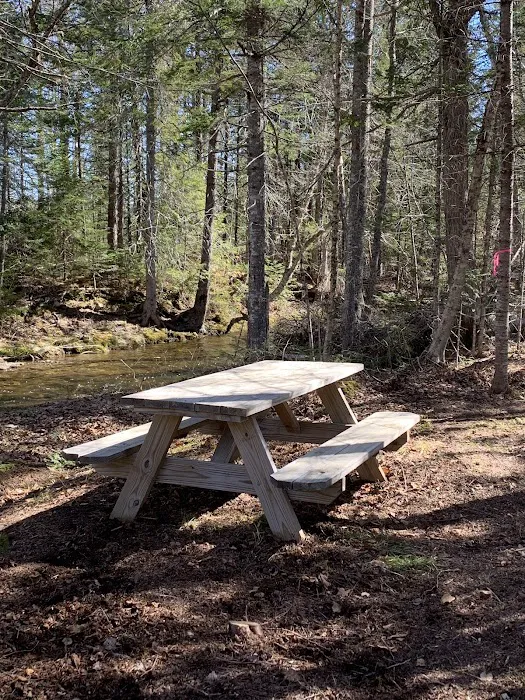 Crystal Brook Camping 2