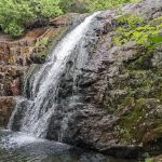 Trout Brook Farm Campground