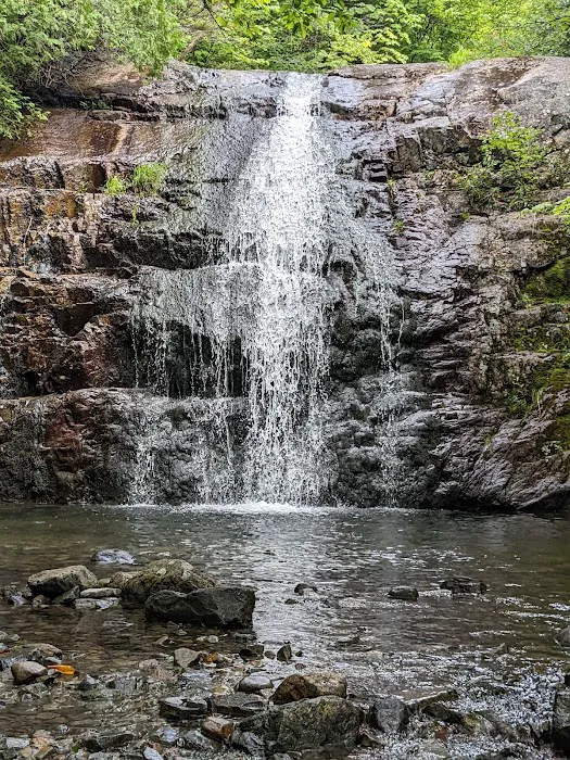 Trout Brook Farm Campground 5