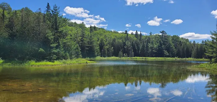 Trout Brook Farm Campground 9