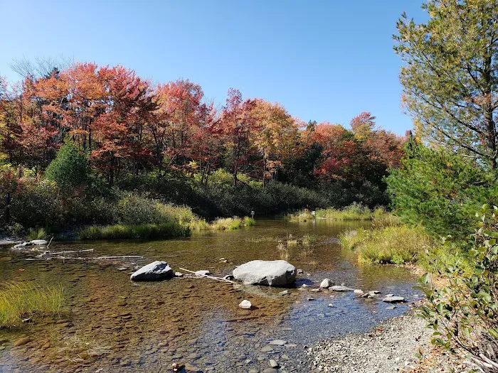 South Branch Pond Campground 8