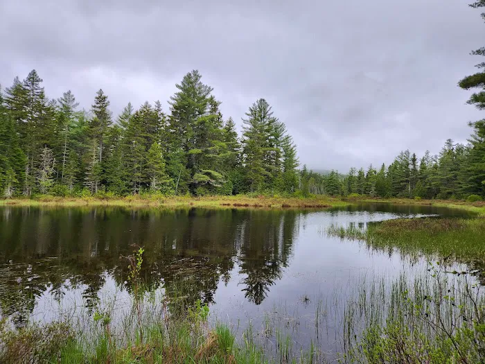 Sandbank Stream Campground 2