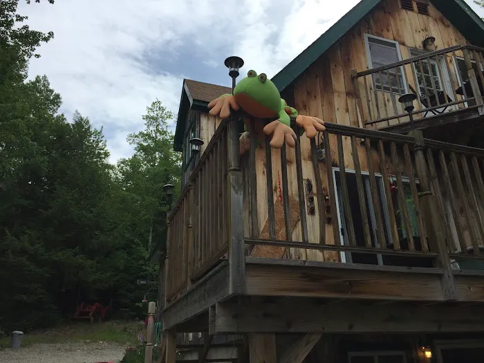 Bullfrog Adventures 0