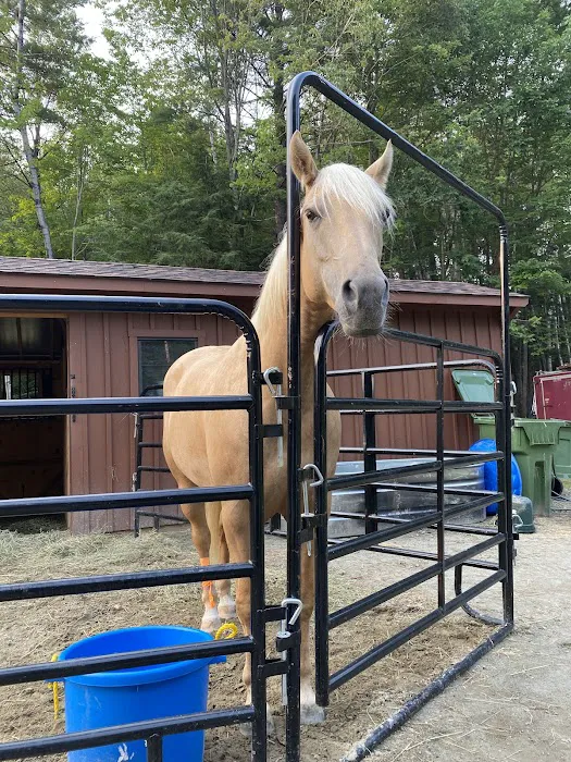 Dude's Ranch Campground 2