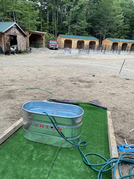 Dude's Ranch Campground 3