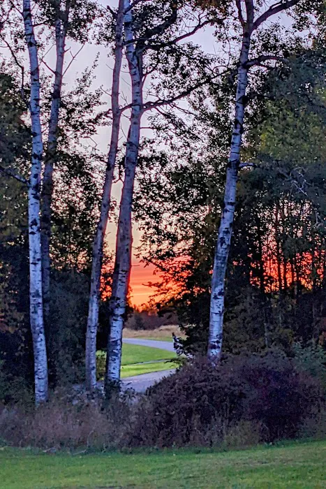 Fogg Brook Resort - Campground 6