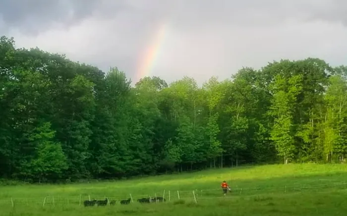 Stone Grove Farm 2