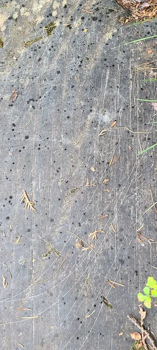 Roll Dam Campground 3