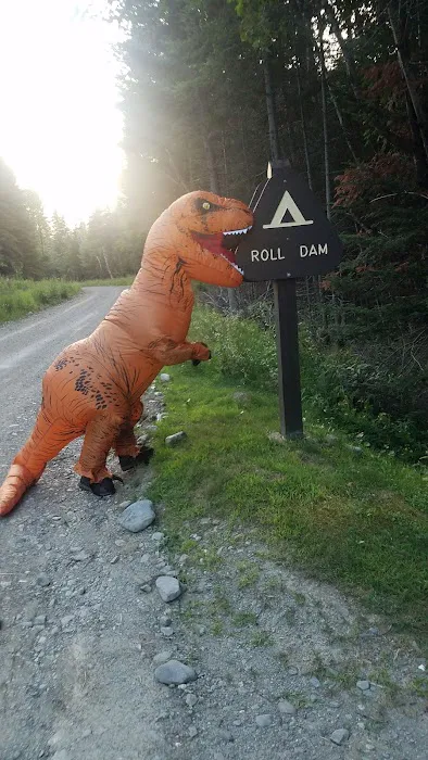 Roll Dam Campground 5