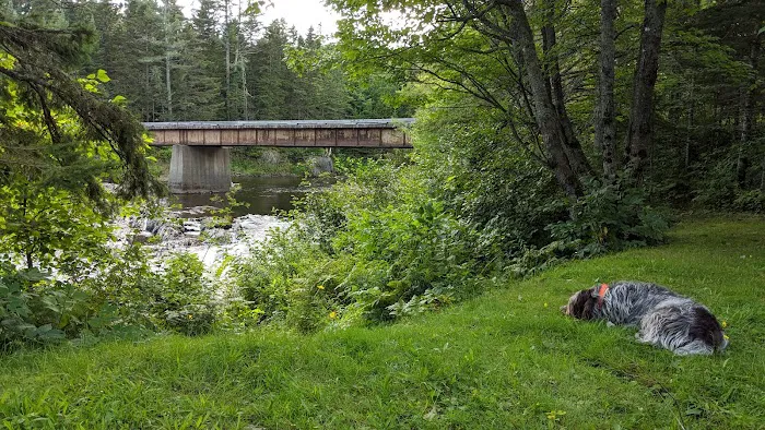 Leadbetter Falls Campsite 2