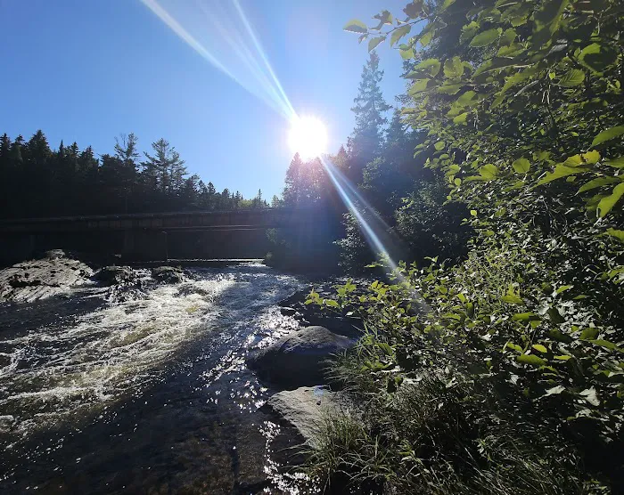 Leadbetter Falls Campsite 4