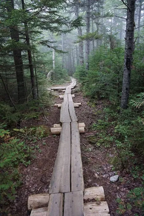 Wilderness Edge Campground 6