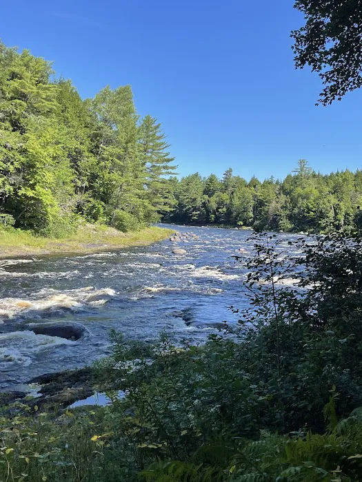 Mattawamkeag Wilderness Park Campground 2