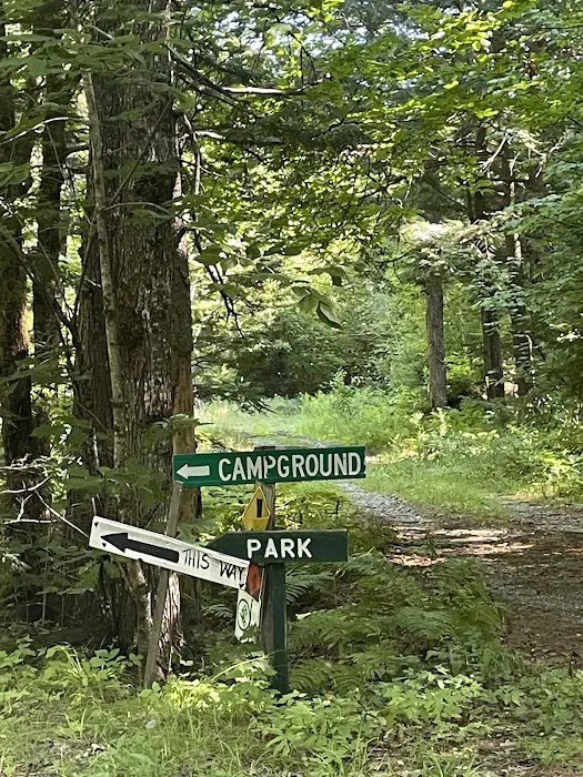 Mattawamkeag Wilderness Park Campground 7
