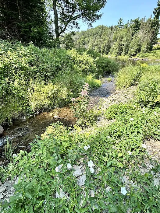 Junction 19 & Company Campground - RV Park, Tent Sites and Boat Launch 7