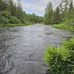 Fish River Falls Campsite