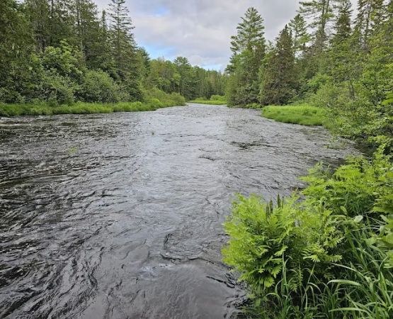 Fish River Falls Campsite