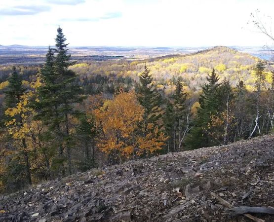 Baptist Park Campground