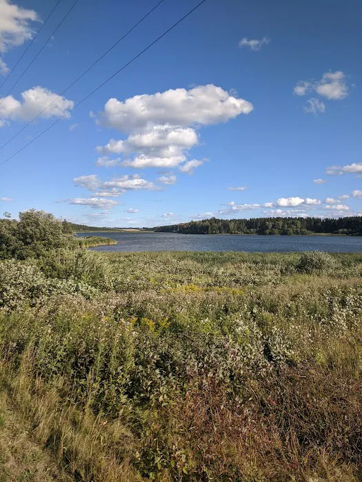 Trafton Lake Campground 2