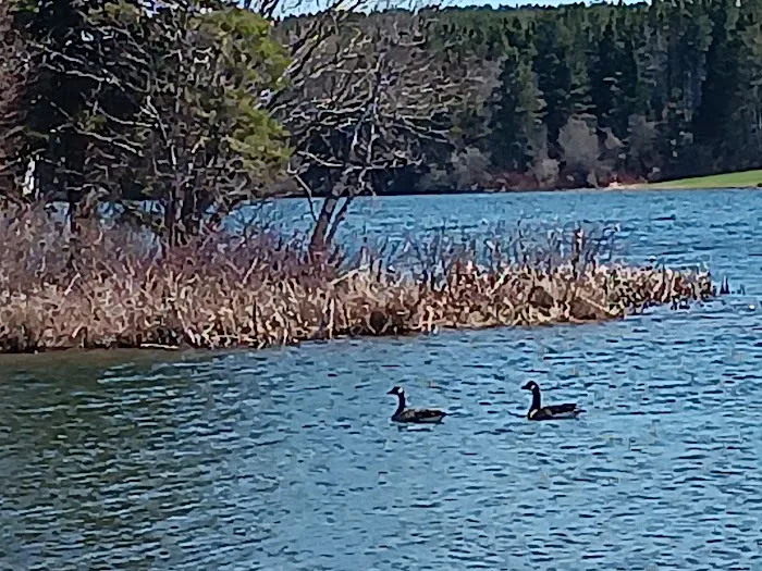 Trafton Lake Campground 1
